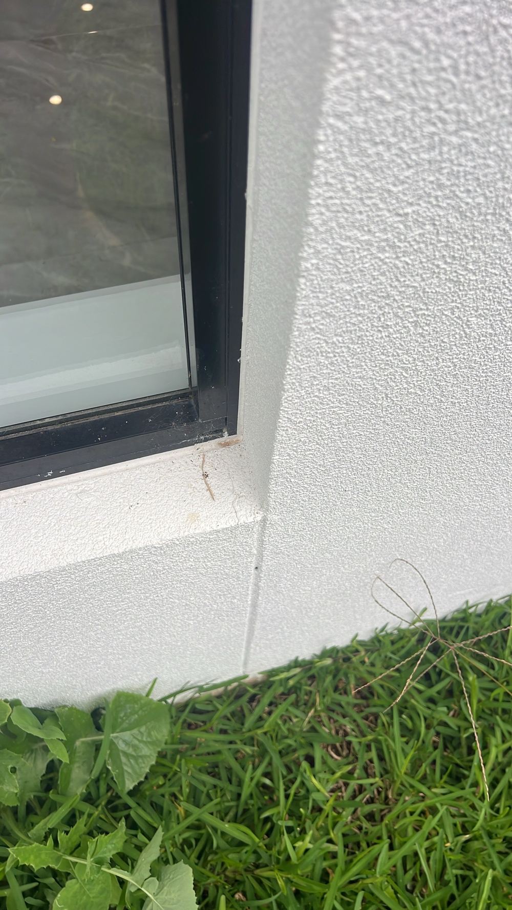 Hebel panel control joint filled over instead of formed and sealed to depth, found during a handover inspection in Tallawong