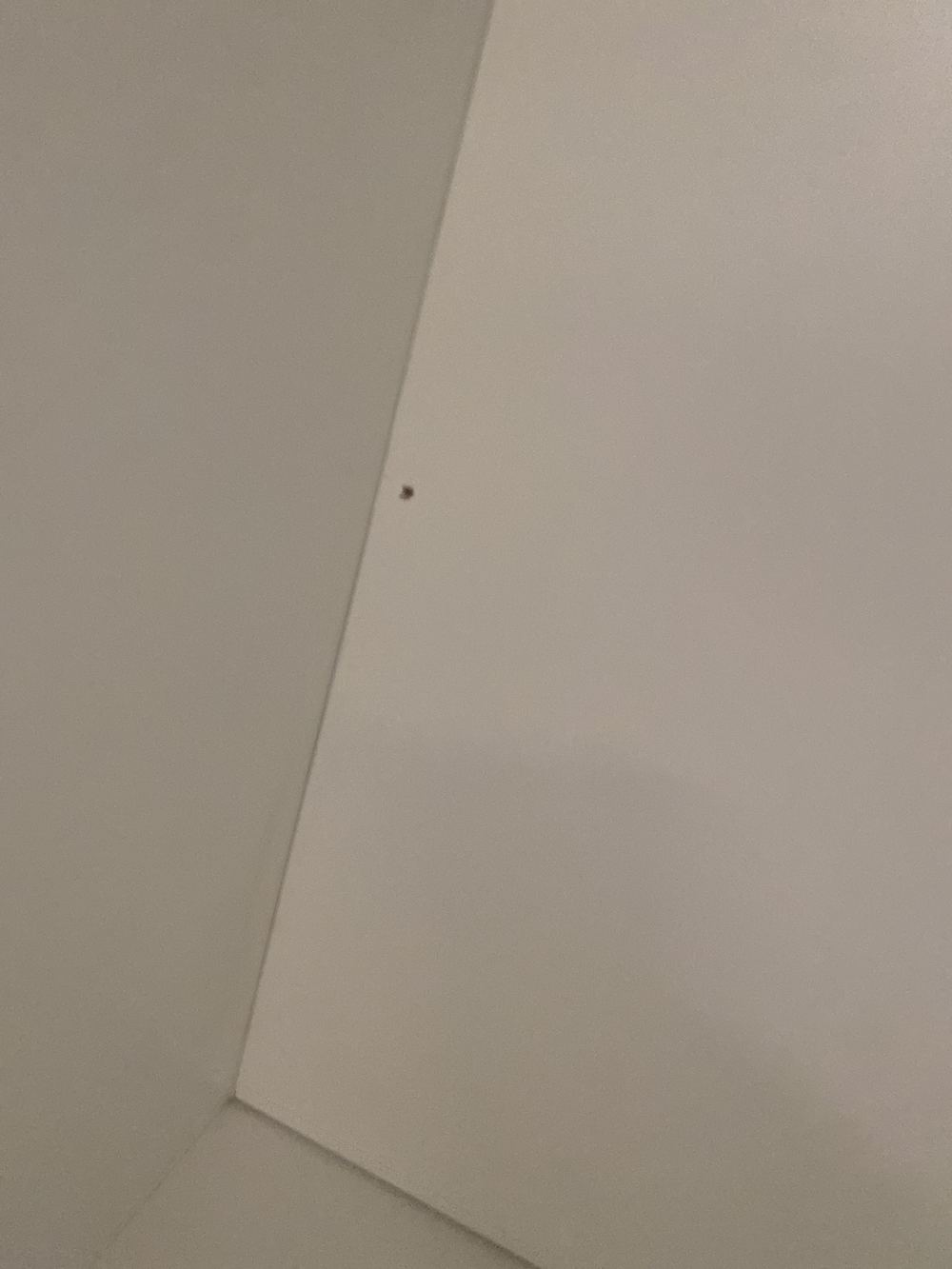 Cabinet screws left showing without their cover caps, Tallawong