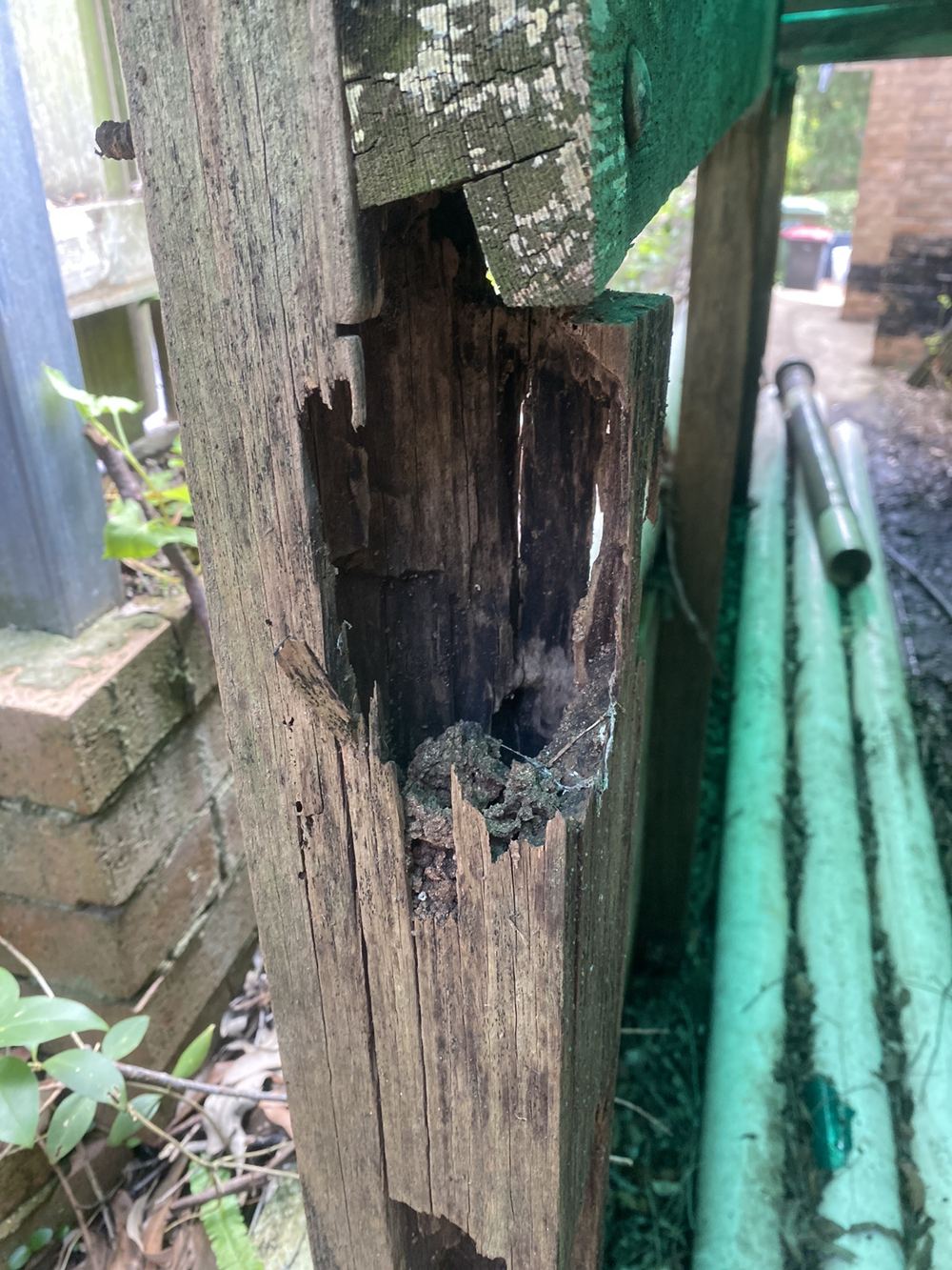 Building and Pest Inspections in Tallawong