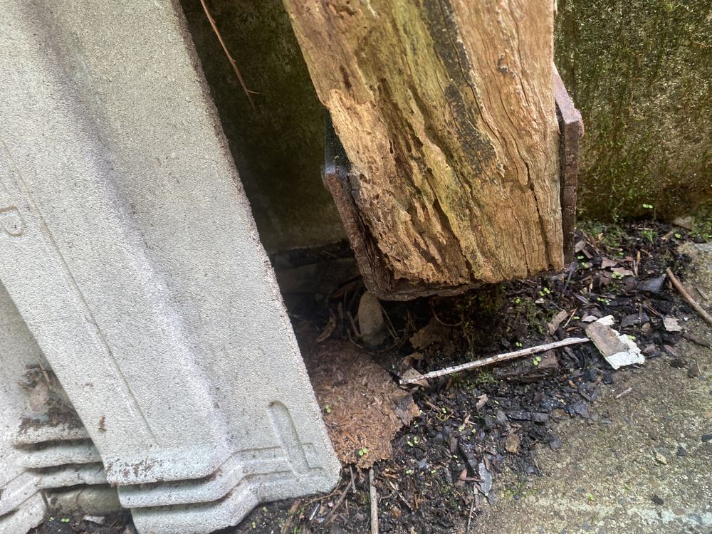 Termites and pests around Tallawong, Tallawong
