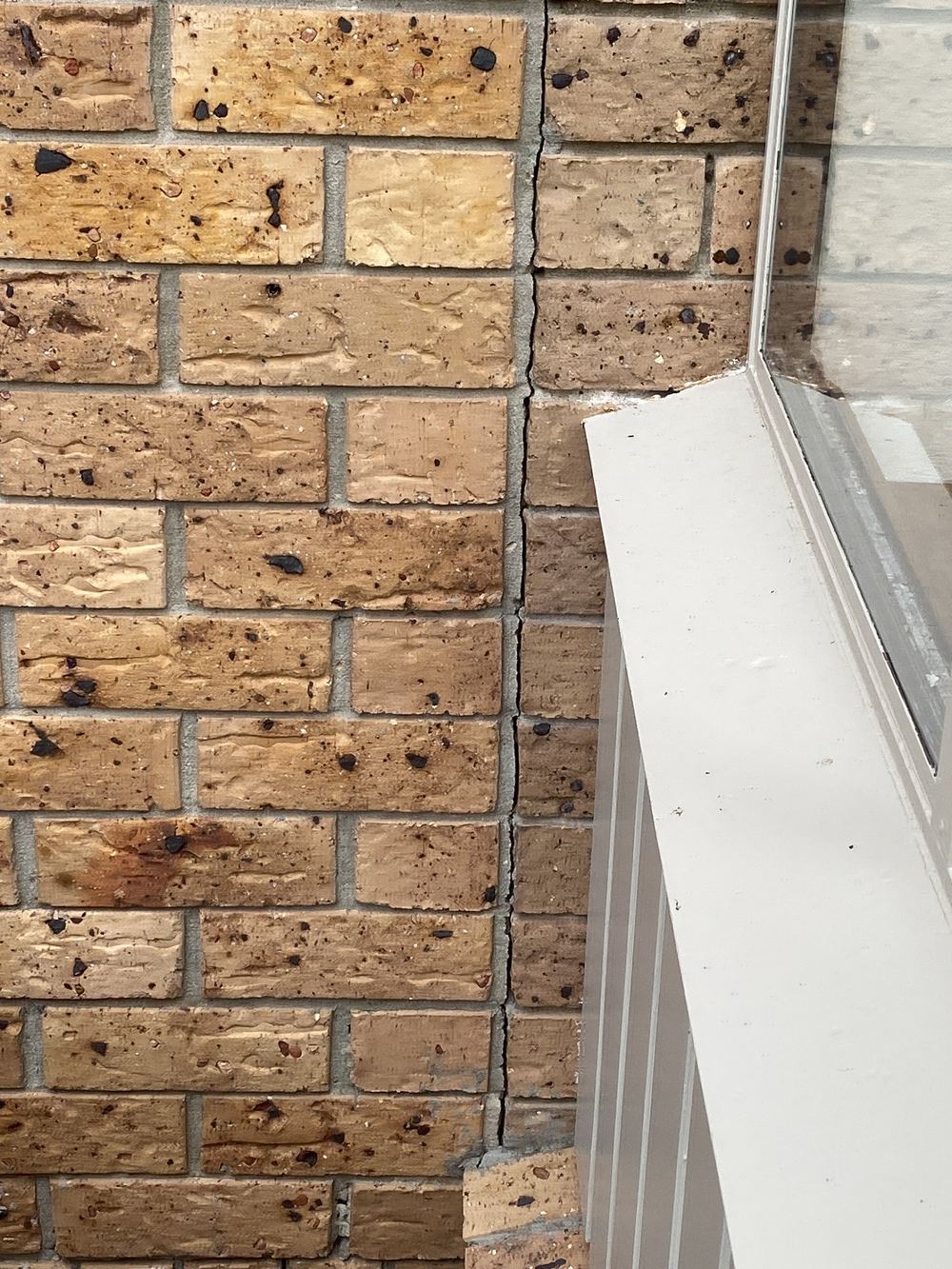 Brick veneer cracked between 1 and 5mm, wide enough to let water in, found during a pre-purchase inspection in St Ives